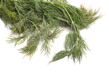 Dill isolated on white background