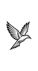 Fototapeta premium Stylized black and white flying bird illustration with spread wings.