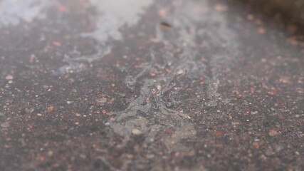 Gasoline spills on water show colorful patterns as they float and spread. This activity highlights the risks of chemical release into the environment and how it affects health