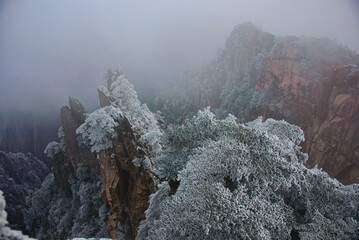 Rime ice on a trees, winter in Huangshan National Park, Anhui, China