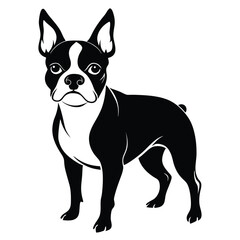 boston terrier black and white silhouette on white background