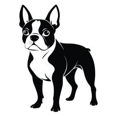 boston terrier black and white silhouette on white background