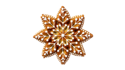 Intricate starfish pattern detailed illustration isolated on transparent background