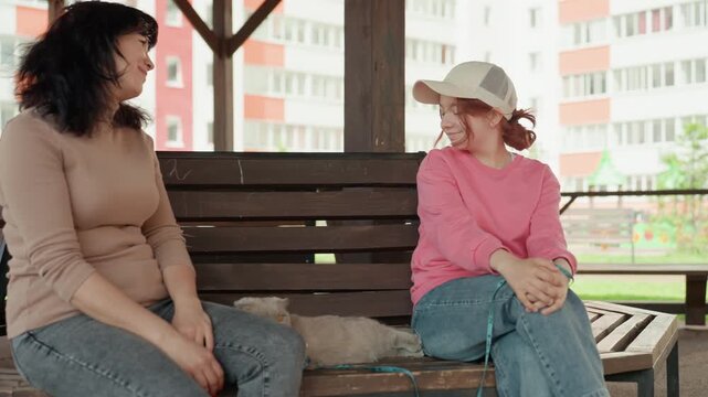 Young Woman On Bench Holding Pet, Friendly Neighbor Joins For Light Conversation And Shared Laughter, Playground And Apartment Blocks In Background, Relaxed Daytime Atmosphere, Genuine Smiles