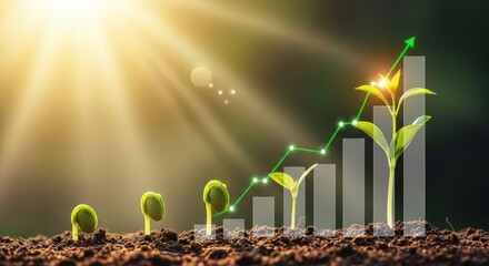 Concept of business growth,profit, development and success. Young plants increase on sunny background.Growing money,finance and investment.