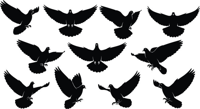 Flying pigeon silhouettes vector collection, dove bird black artwork, peaceful wildlife illustration, freedom and nature concept, animal design, sky symbol