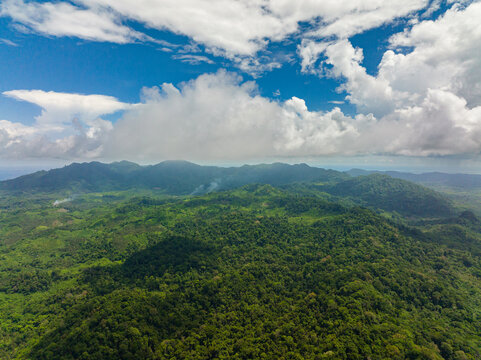 Mountain slopes with rainforest. Balabac, Palawan. Philippines.