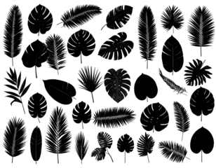 Collection of stylized tropical leaf shapes arranged against a dark backdrop