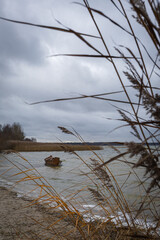 Old rural wooden, fishing boat is moored on the shore of a lake. A gloomy windy day