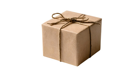 Gift box ribbon holiday present christmas decoration