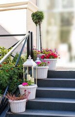 Pink and red petunias in white wicker pots on the steps at the entrance decorate, gardening and landscaping