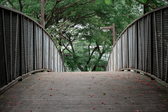 Perspective view of a pedestrian bridge with wooden flooring scattered with red Delonix regia petals.