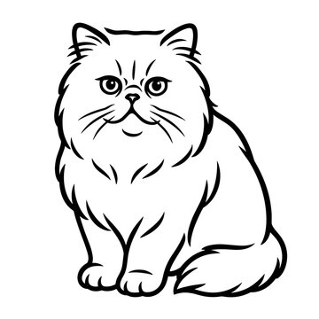 Persian cat illustration, realistic, minimal details, black and white