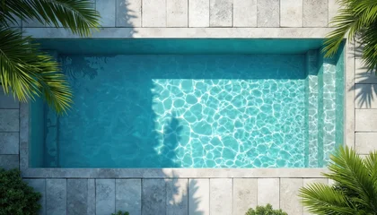 Plexiglas schilderij Toilet Rectangular backyard swimming pool with clear blue water. Stone tiles surround the pool. Palm leaves frame the scene providing shade. Water surface has sun reflections.  © miss irine