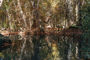 Wooden bridge and reflections in the water at Monasterio de Piedra, Spain