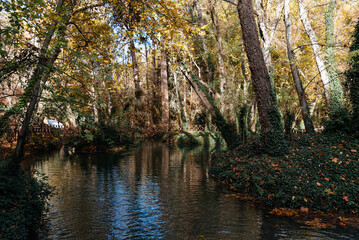 Scenic view of a river flowing through lush forest in Monasterio de Piedra, Spain