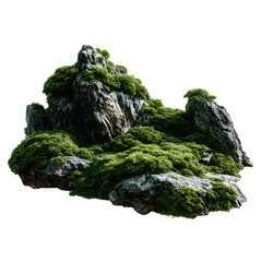 Mossy Natural Rocks with Unique Textures Isolated