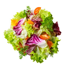 Vibrant Fresh Salad Varieties on White Plate