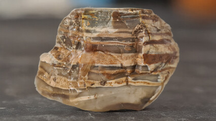 A natural layered mineral stone featuring intricate brown, beige and gray stripes, highlighted by...