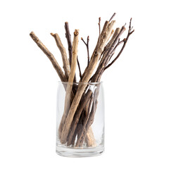 Elegant Sticks in Clear Vase on White Background