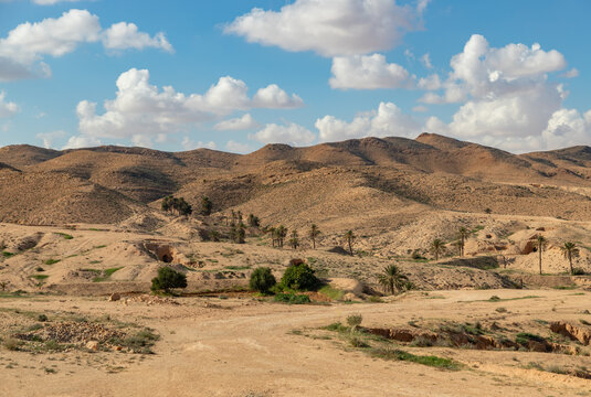Tunisia Gabes Landscape
