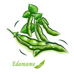 枝豆のポップで可愛らしいタッチのイラスト｜新鮮な野菜のベクター素材