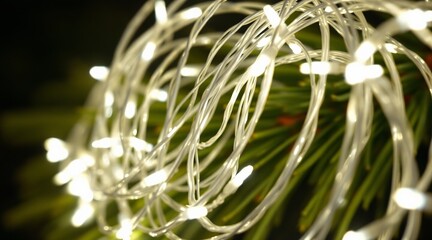 Bright white LED string lights glowing on a green Christmas tree branch, creating a warm festive holiday decoration concept for winter celebrations