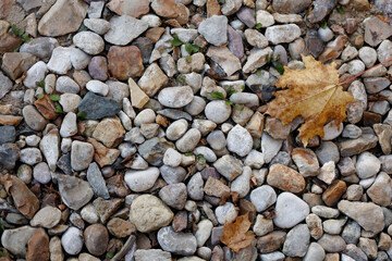 Natural Pebbles and Dry Leaf on Ground Surface