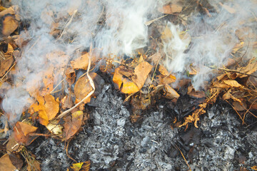 Smoke in the garden. Burning autumn leaves