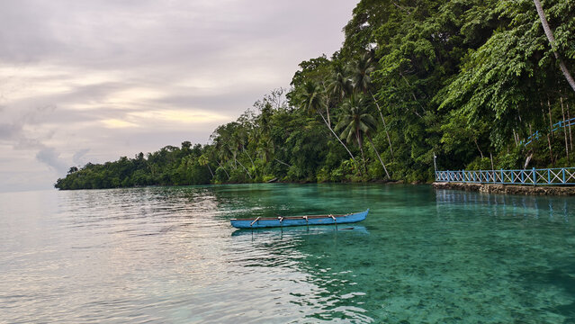 A beautiful beach, with clear sea water, trees, wooden boats, coconut trees and a slightly cloudy sky. Raja Tiga Sabado Adoki Beach