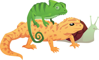 Naklejka premium Exotic reptile animal pets, cartoon chameleon, iguana, salamander, lizard crawling mammals, vector flat snail