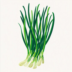 Growing green onions in a garden bed during spring season for fresh cooking and seasoning