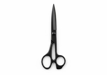 Single black hairdressing tool is centrally positioned against a clean white background