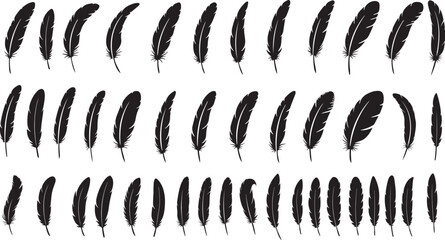 Collection of black feather silhouettes in various shapes	