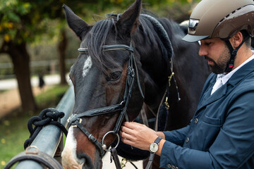 Equestrian preparing horse for riding, adjusting bridle
