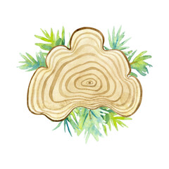 Watercolor illustration of wood texture of wavy ring pattern from a slice of tree with spruce branches isolated on a white background.