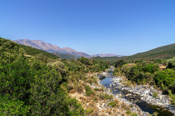 Wildes Flussbett in idyllischer Berglandschaft auf Korsika