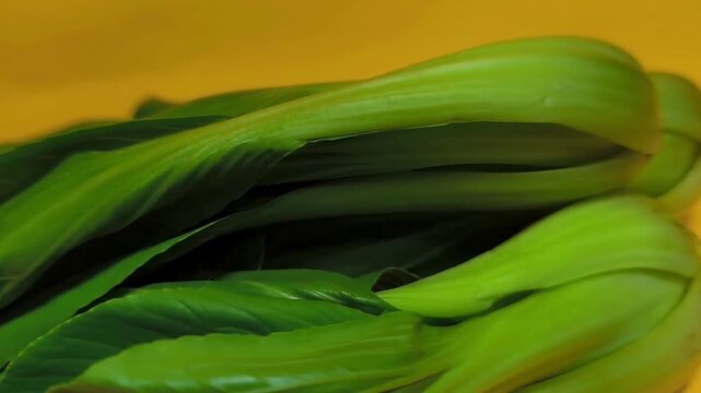 Green Bok choy on a yellow background. Fresh and healthy vegetable cinematography idea. Close-up.