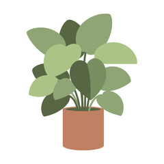 Fototapeta premium Stylized indoor plant with rounded leaves in terracotta pot illustration art