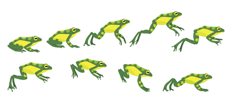 Frog jumping animation icon set. Sequences or footage for motion design. Cartoon toad jumping, animal movement concept. Animated process of frogs leaps sequence, vector illustration