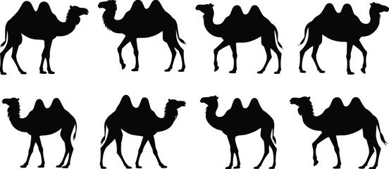 Red Wine Pouring into Elegant Glass, Illustrating Luxury, Celebration, Fine Dining, Gourmet Lifestyle, and Vineyard Experience.