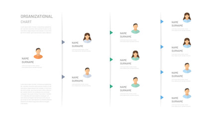 Horizontal company management structure, company hierarchy, organization structure diagram