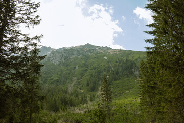 Landscape Tatra National Park 