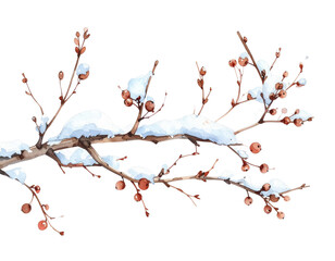 雪の積もった木の枝　水彩イラスト
