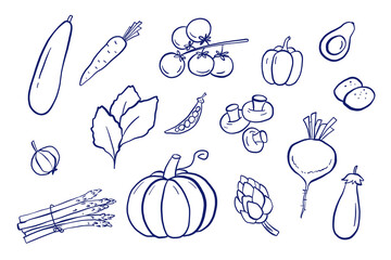 Doodle vegetables hand drawn illustrations set. Outline pumpkin, zucchini, carrot and tomatoes sketch isolated on white background