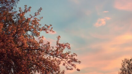 Blossom tree branches against pastel evening sky. AI generative