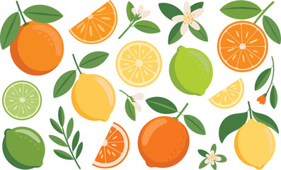 Colorful citrus fruit vector set featuring oranges, lemons, limes, slices, wedges, leaves, and blossoms in fresh decorative style.