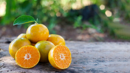 Vivid orange slices scattered on weathered wood surface, natural and minimal look. copy scape