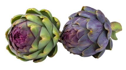 Obraz premium Two vibrant fresh artichoke vegetables with deep purple centers on a stark for cooking