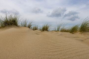 Dunes on the Dutch islands